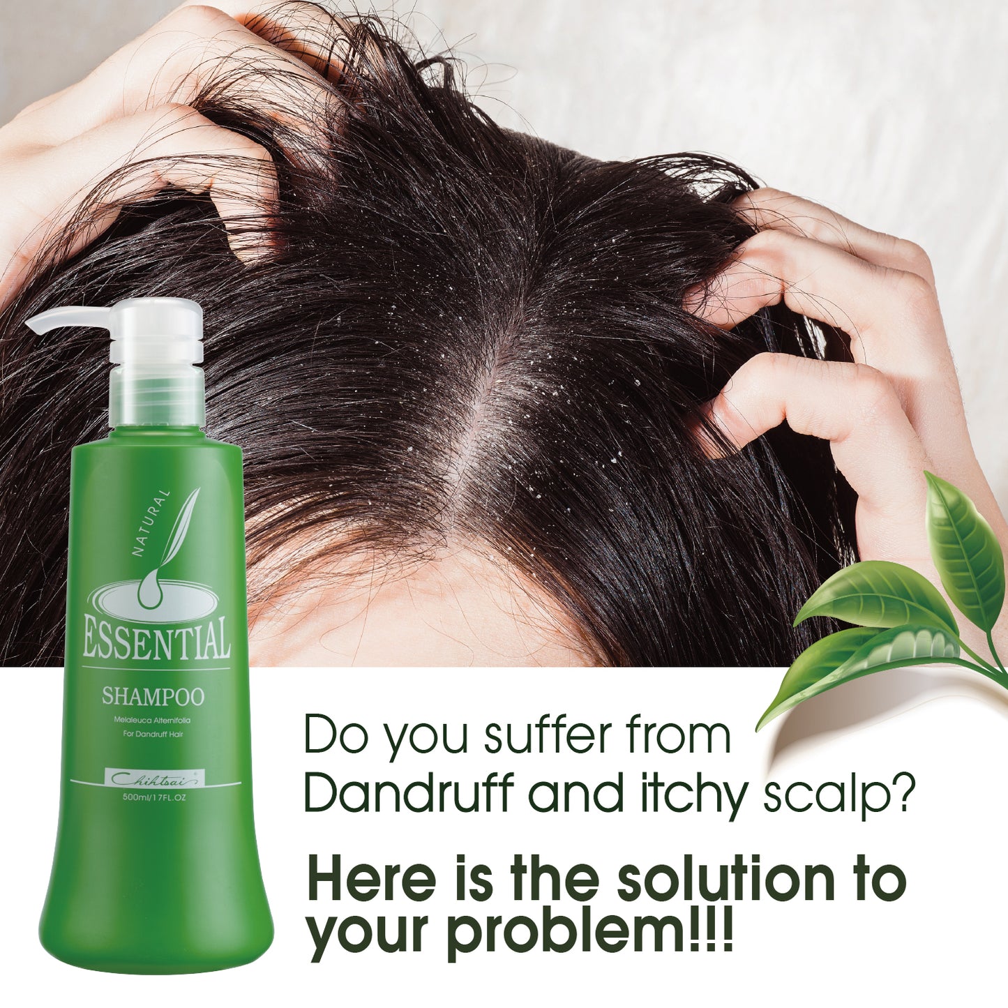 Natural Essential Shampoo