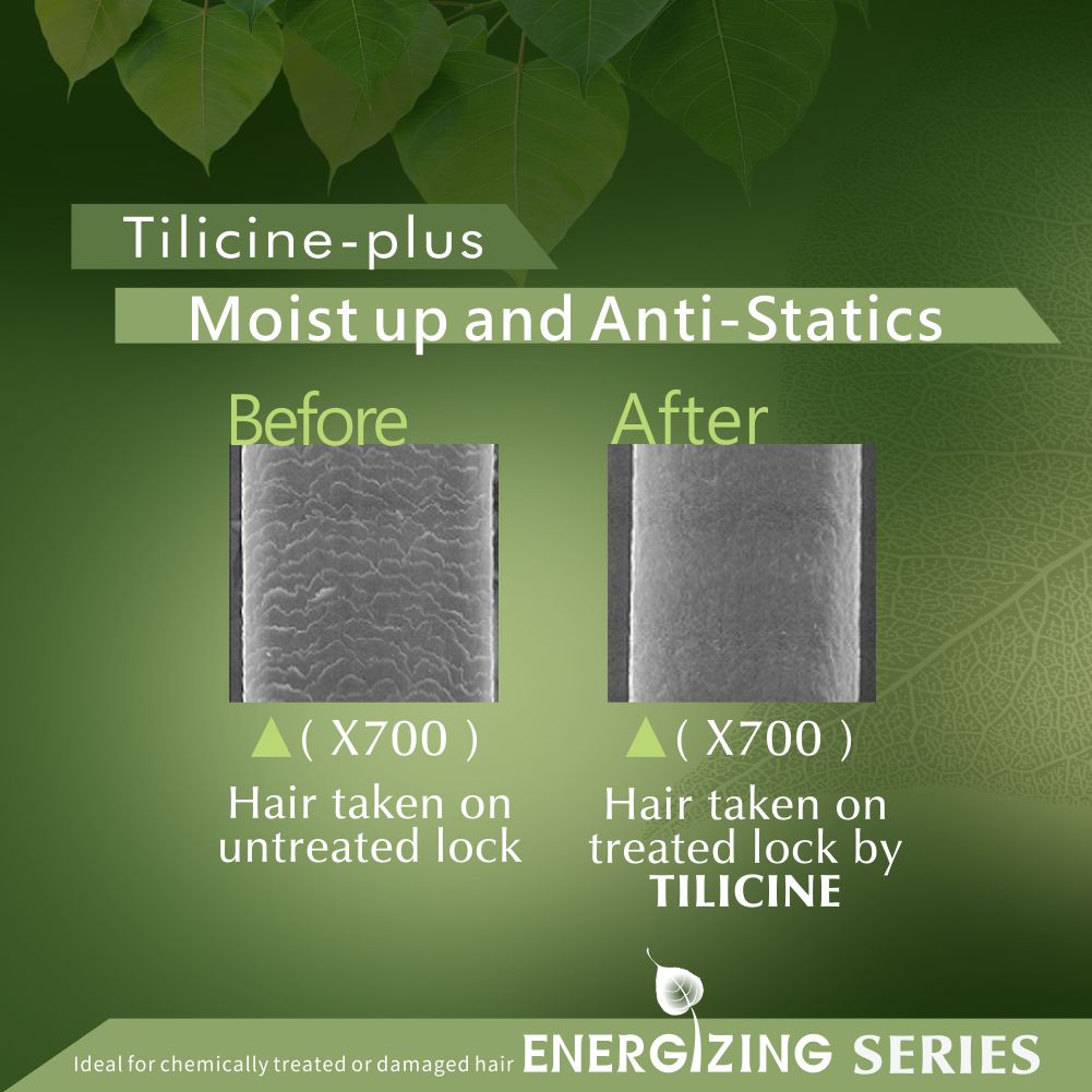 Energyzing Protien Treatment