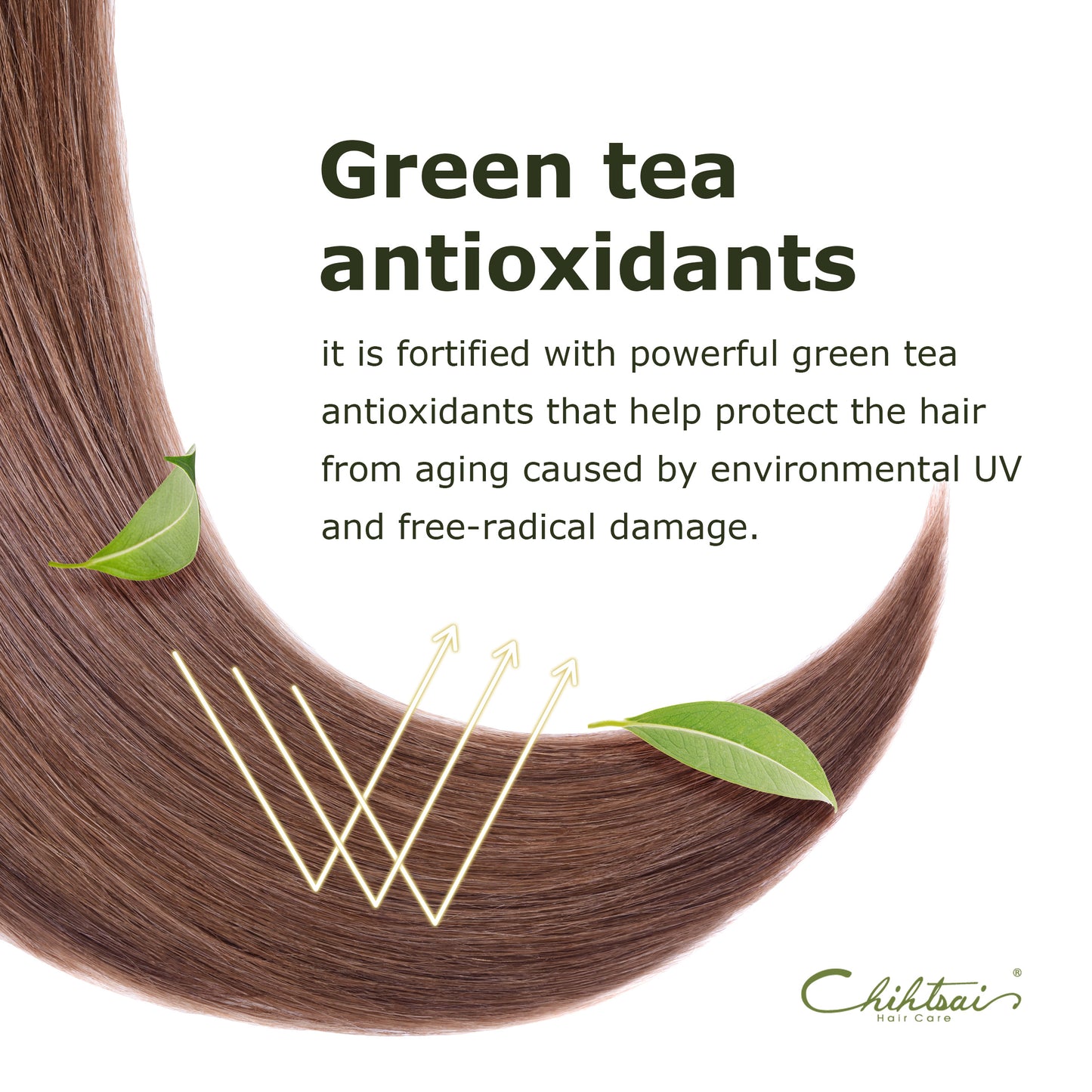 Fresh green tea shampoo