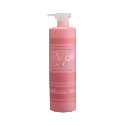 Color Stay Shampoo