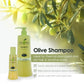 Champú de oliva (sin sulfatos, parabenos ni cloruro de sodio)